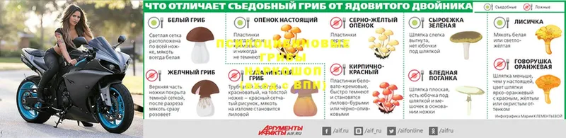 гидра ссылка  Кирс  Галлюциногенные грибы Psilocybine cubensis  где продают наркотики 